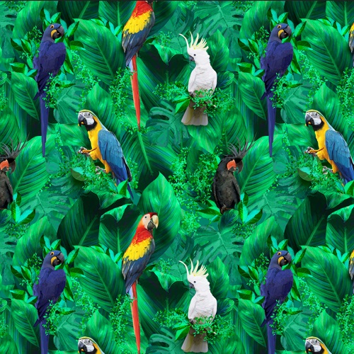 Parrot jungle